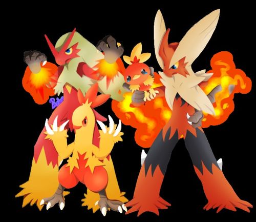 火稚鸡,力壮鸡,火焰鸡,mega火焰鸡