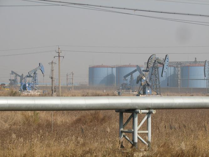 济南—滨州—东营—利津—济南五日骑行