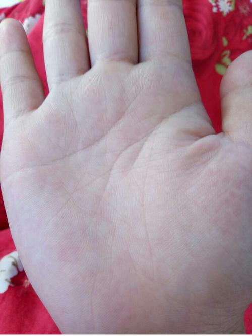 智慧线分叉三条(女生)求解释