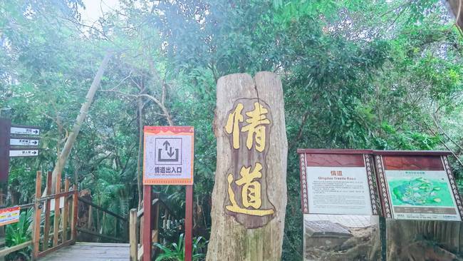 ②防晒,防雨准备及爱美的装备等景区相关5,昌江霸王岭已开发出情道