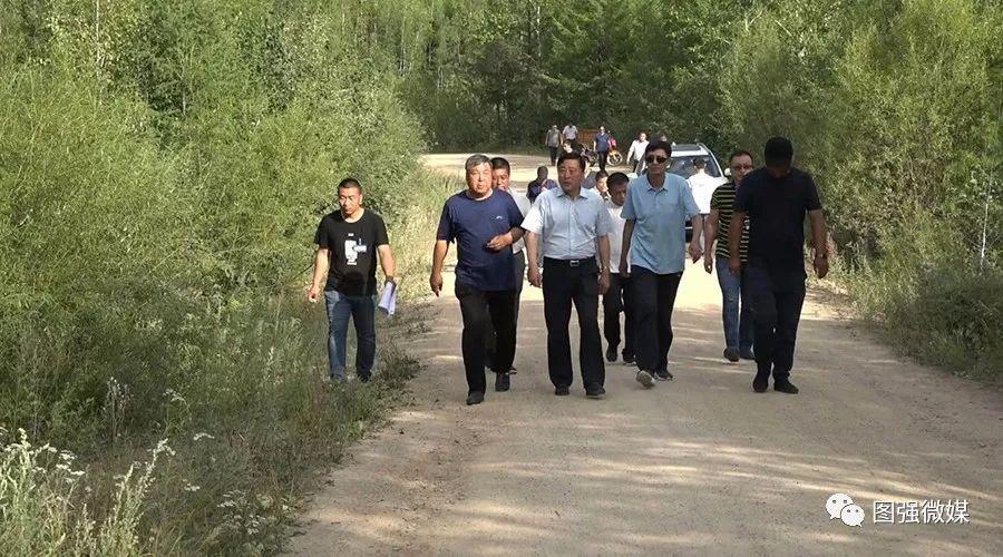 实地调研结束后,张柏林一行与林业局党委书记吴炳岩,林业