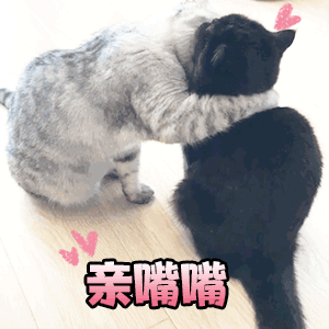 给你一个么么哒表情包gif,各种mua表情任你选,肯定有你喜欢的