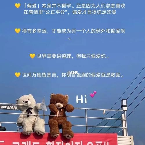 关于偏爱_文案_偏爱文案_素材_文字素材