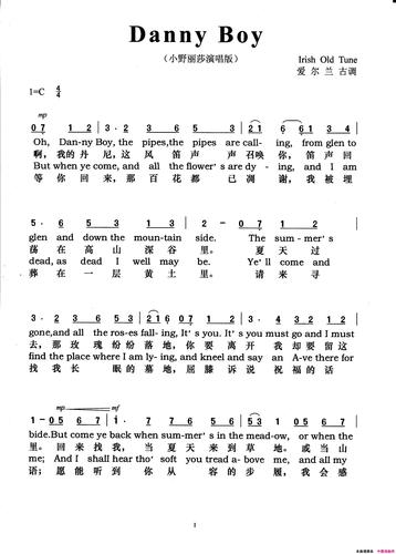 dannyboy小野丽莎演唱版dannyboy小野丽莎演唱版