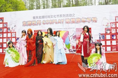 图为:cosplay动漫嘉年华秀活动现 