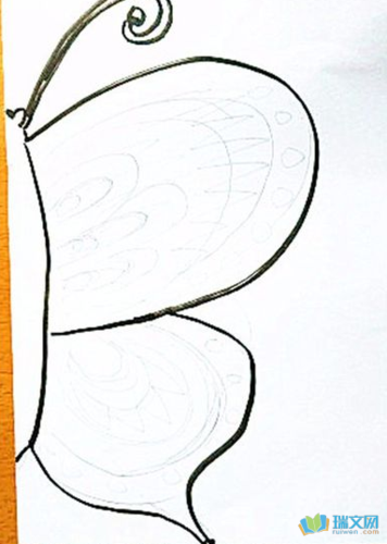 3,在对折相连的那边画出半只蝴蝶的形状.