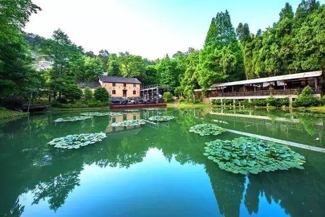 旅游 正文  也是个吃货 葱包烩儿 我有好山好水好公园 西湖 我可以带