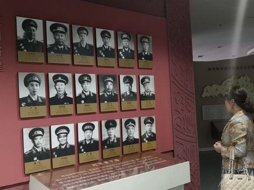 春风风人 情满泰和