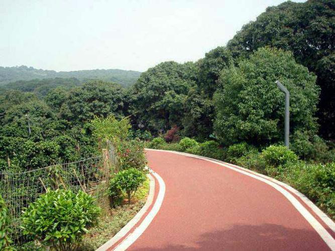 美丽的漳州荔枝海生态保护公园