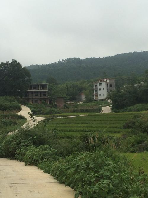 马头桥镇地名网_湖南省邵阳市新宁县马头桥镇资料简介