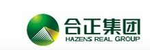 深圳市合正房地产集团有限公司