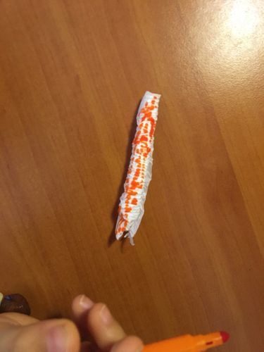 会动的毛毛虫