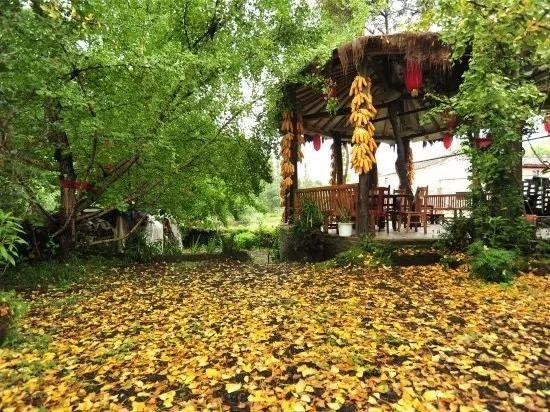 电话:13887823260 地址:腾冲市东方路栗树园小区40号.