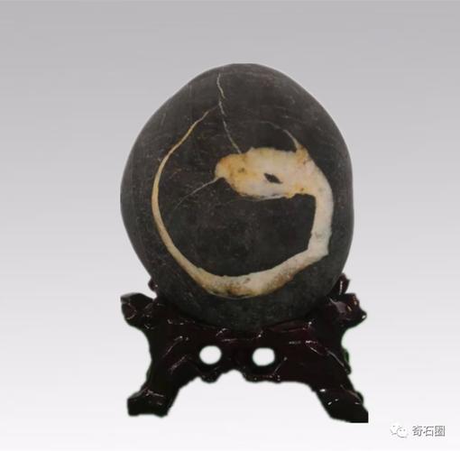 你的生肖奇石值得登上这本精美的画册