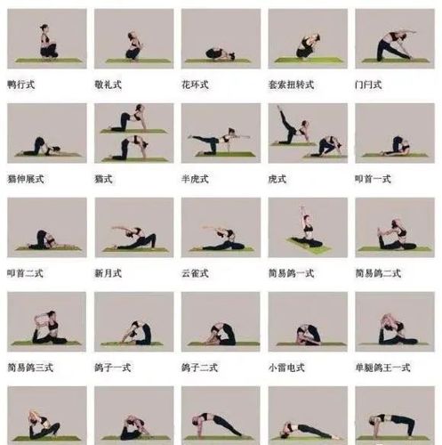 5,图片包括下列瑜伽体式名称:25种瑜伽体位