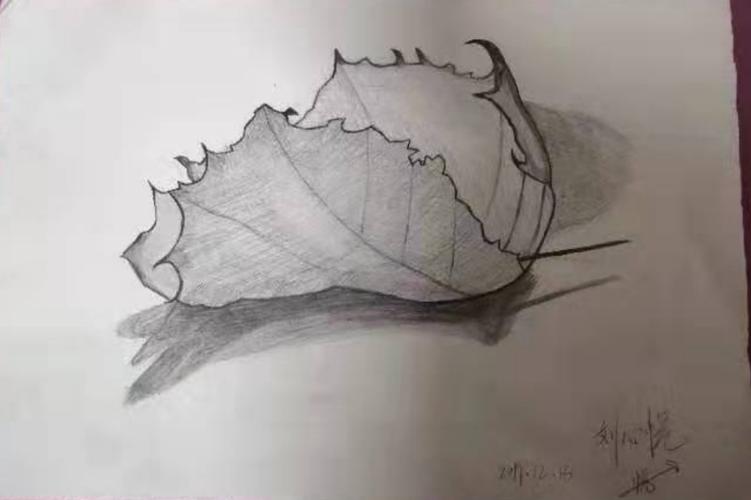 自己在家画的落叶