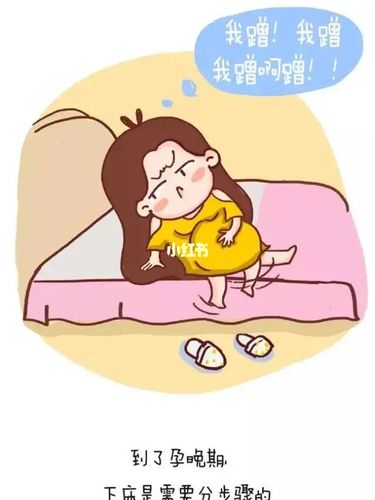 孕晚期,太形象了_孕晚期_难熬的孕晚期_母婴_孕产经验