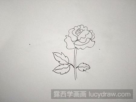 月季花儿童画分享到这里就结束啦,月季是山东省莱州市,江苏淮安市