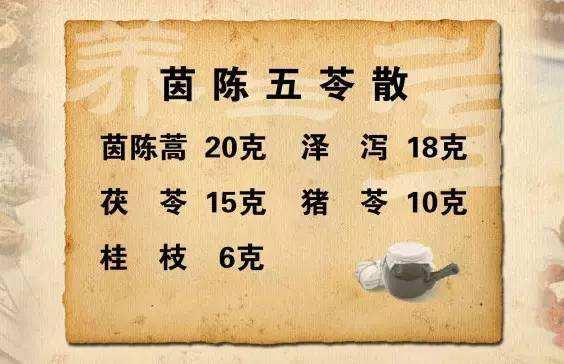陈瑞春教授使用五苓散的经验分享,非常宝贵的中医经验