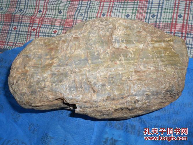 水冲硅化木树化玉原石约8.7公斤(3号)未经任何处理