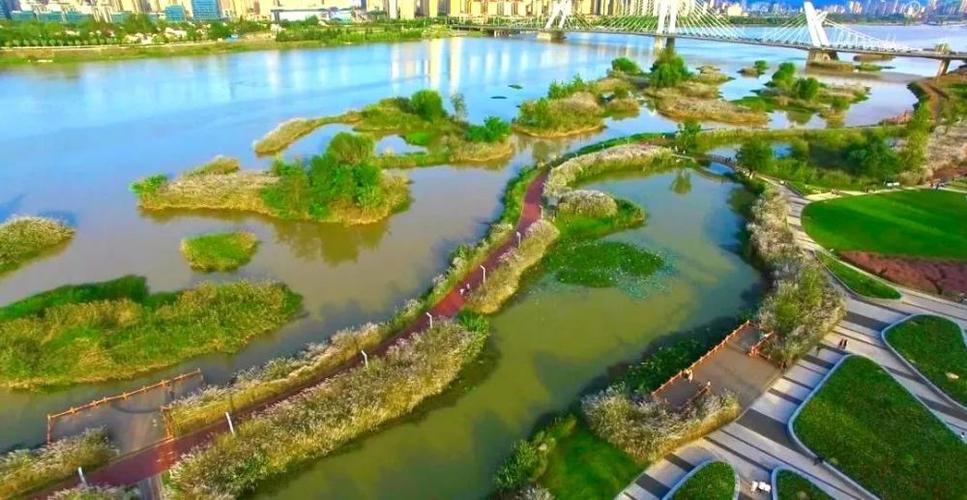 汉中湿地公园最美的季节,又快到了