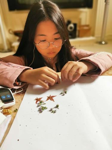 巧手绘秋——天骄六年级天华1班树叶画