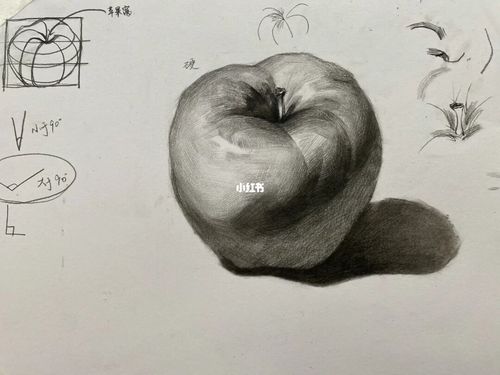 素描静物——苹果_素描_巴黎1区(中山校区)自由行热门