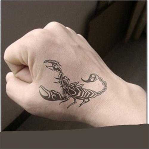 致青春防水个性手臂纹身贴刺青男老鹰蝎子龙纹身贴刺青