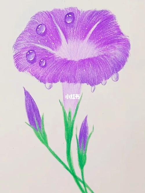 彩铅画|超级简单的千牛花教程_彩铅画_教程_铅笔_彩铅
