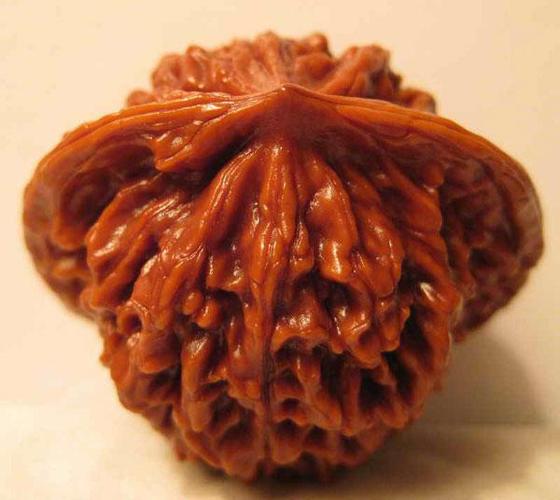 狮子头(淮扬菜系中菜品名称)