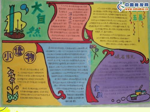 手抄报设计课件 ppt