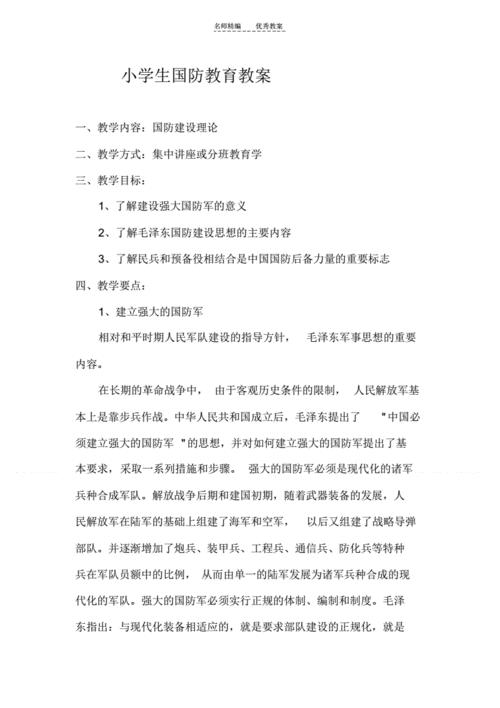 小学生国防教育主题班会教案.pdf 13页