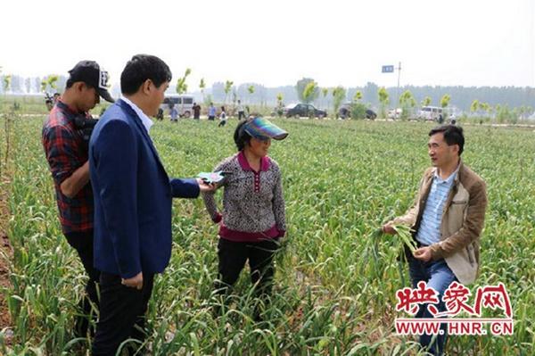 开封市消协联合媒体走进西姜寨乡为蒜农排忧解难