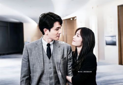 阳光之下剧照_掌中之物傅慎行何妍_影视_电视(图文)