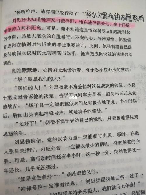 红岩第三十章批注②_阅读_文化_阅读