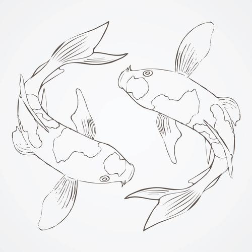 锦鲤,鱼,手,绘画,插画