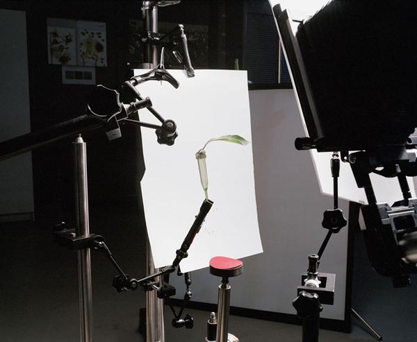 欧美horschampoffcamera摄影棚写实照片