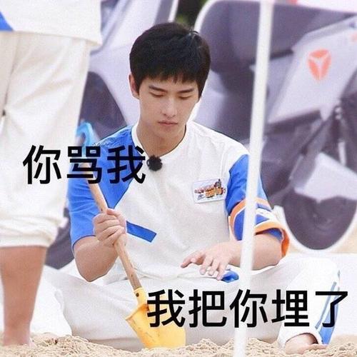 或许可以得到一些杨洋的表情包嘛