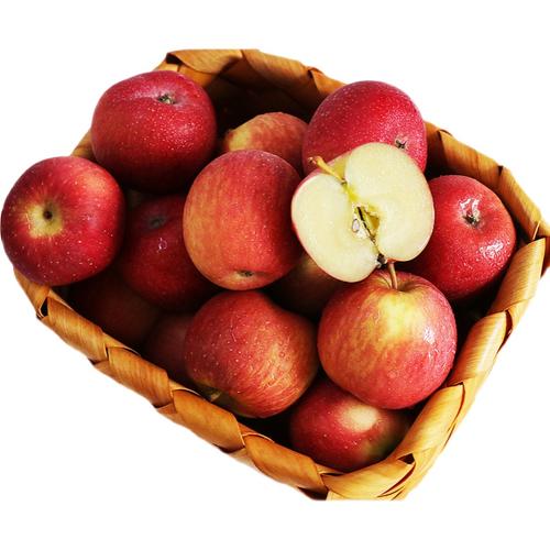 南非牛顿小苹果脆甜多汁进口富士野生迷你苹果苹果