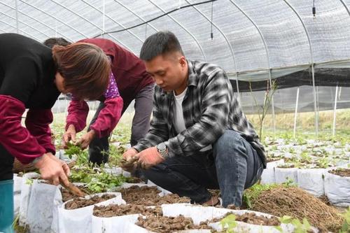 【奋进武义"和富美" 富民增收20招】(4):培育"武七味"公共品牌  带动