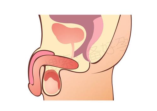 "男性更年期"又叫"男性迟发型性腺功能减退症