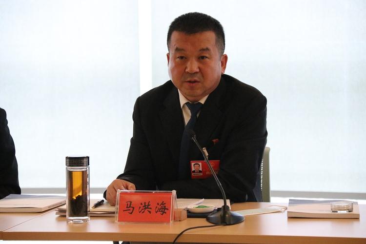 马洪海参加中宁县分团审议政府工作报告时说用非常之力下恒久之功谋