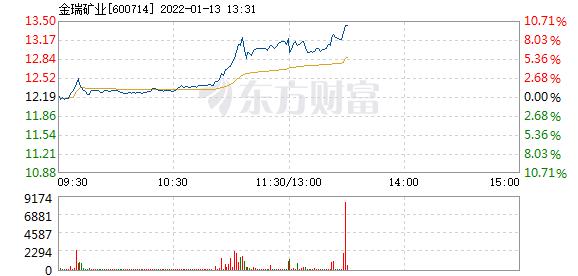 金瑞矿业1月13日盘中涨停