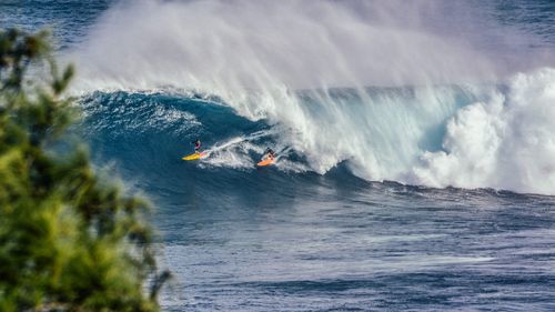 高清冲浪运动图片310