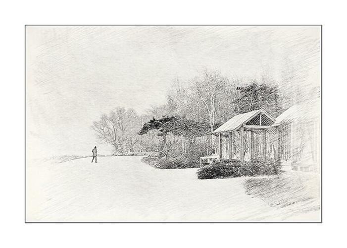 冬日素描