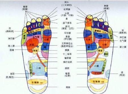 想按摩增高,听说可按脚趾和按脚底生殖穴.