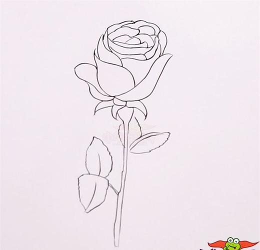 3,开始涂色啦,我们先给玫瑰花的花瓣涂上红色.