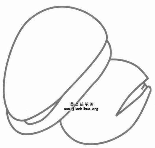 松子简笔画图片,教程