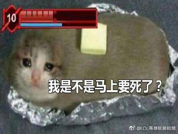 派克系列表情包