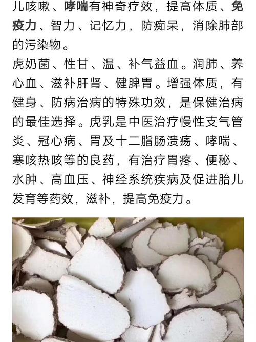 止咳虎乳菌_止咳_咳嗽_医疗健康_养生食疗